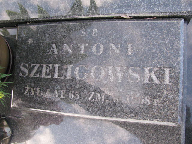 Antoni Szeligowski Jeżów - Grobonet - Wyszukiwarka osób pochowanych